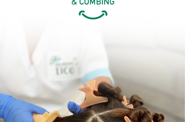 The Reason a Good Nit Comb is Necessary for the Best Lice Treatment
